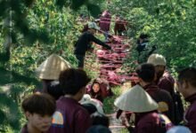 growth strategies for businesses