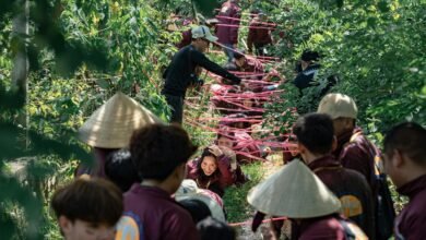 growth strategies for businesses