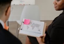 sector development insights report