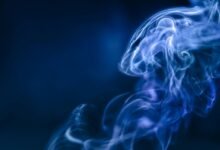 sector dynamics and trends