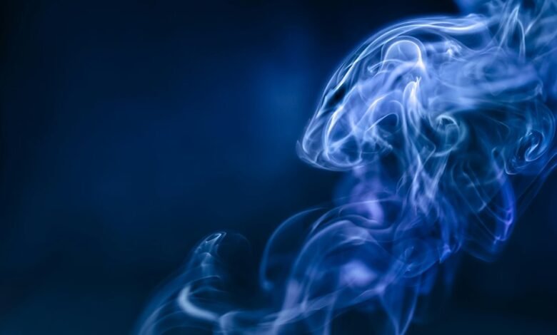 sector dynamics and trends