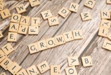 sector expansion potential evaluation