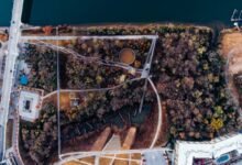 sector innovation and outlook