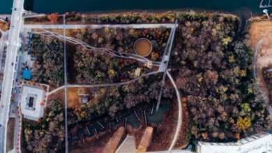 sector innovation and outlook