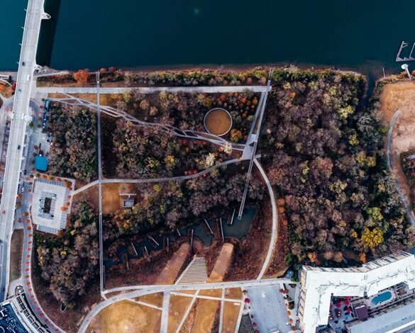 sector innovation and outlook