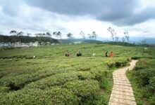 untapped opportunities exploration initiative