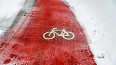 apex lane market path