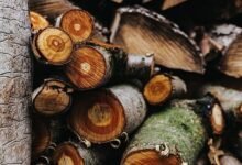 Why Quality Timber Still Matters in Modern Construction and Design