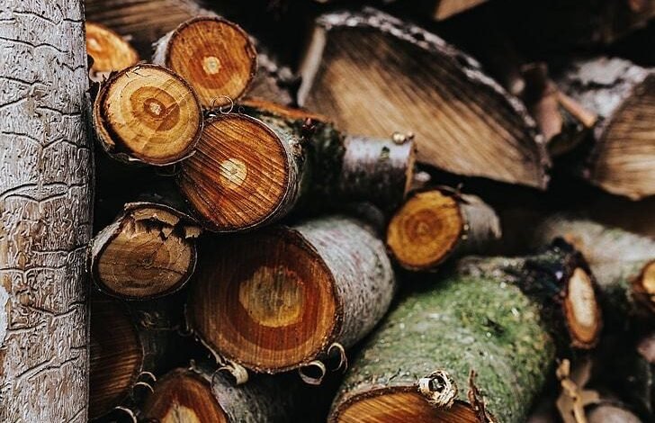 Why Quality Timber Still Matters in Modern Construction and Design