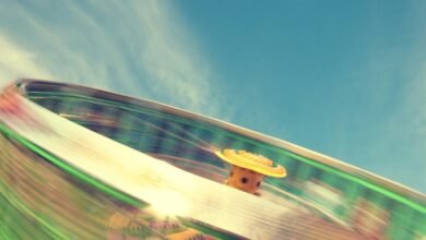 revenue momentum surge loop