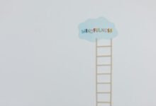 stellar apex growth strategy