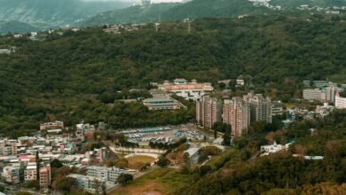 transformational growth planning model