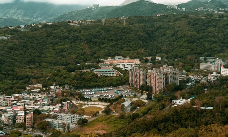 transformational growth planning model